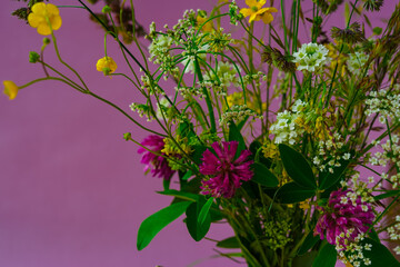 Bouquet of wildflowers close-up on a pink background