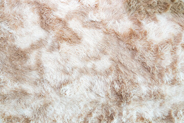 Wool fur background. Detail of sheep fur.