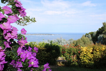 Panorama avec mer et fleurs