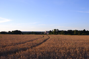 Abad&iacute;a cerca de campo de trigo (Cartuja de Miraflores)