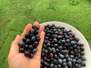 Numerous blueberries are on a white plate and are on hand. On the balcony below, see green grass....