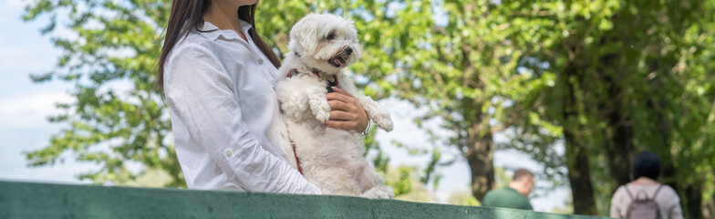 panorama with a dog in the hands of the hostess