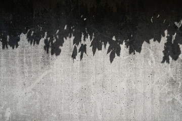 leaf shadows on gray concrete wall - abstract pattern background