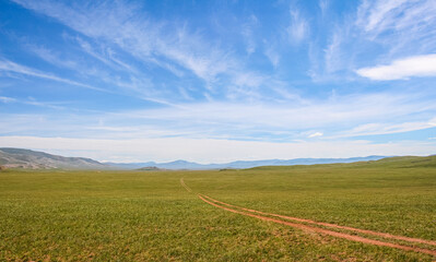 Fototapeta na wymiar A track across a Mongolian grassland with mountains in the background