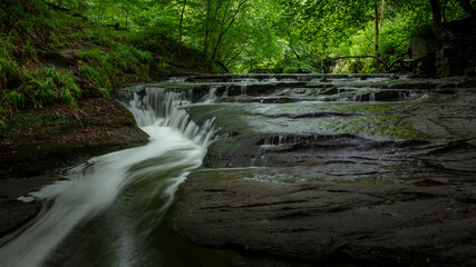 Waterfall at Holywell Dene in the county of Northumberland, England, UK. With full summer green foliage on trees.