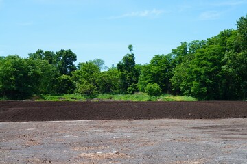 Big pile of wooden chips used as garden mulch