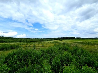 Fototapeta premium green field and blue sky
