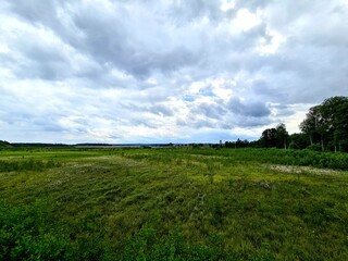 green field and blue sky