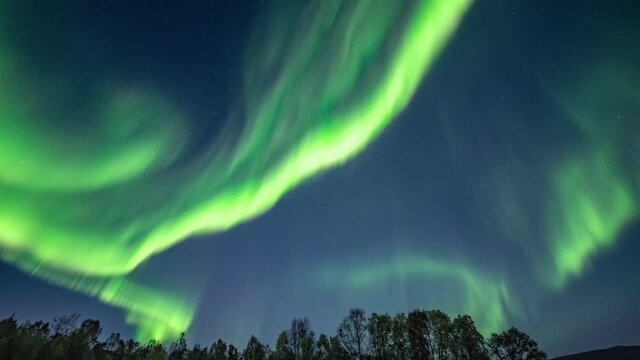 A bautiful light show on the night sky. Northern light above Alta, Norway. Green lights are dancing in the dark sky, whirling, flowing,  changing shapes and shades.