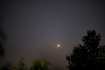 hydes constellation and planet venus in the night sky