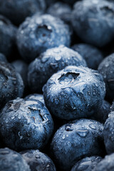 Blueberries close-up in full screen with dew drops.