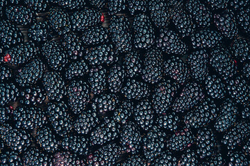 Fresh ripe blackberries background. Top view, flat lay.