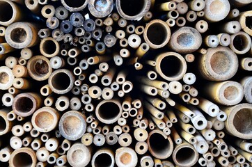 abstract background with bamboo circles