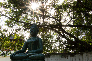 Bronze buddha statue under the trees in Thailand