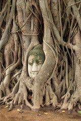 Buddha Head in Tree Roots, Wat Mahathat, Ayutthaya
