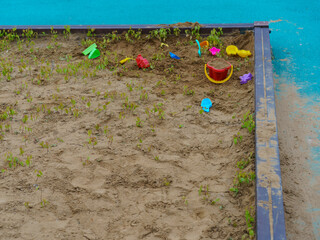 Photography of a children's sandbox after long coronavirus lockdown in Moscow. Green grass growth activelly. The children's bucket, scoops, molds are scattered