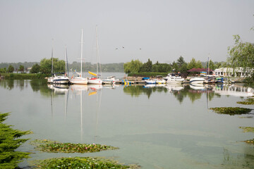 Fototapeta na wymiar Sailboats and boats moored to the pier in a row. In the water, reflection of islands of water lilies on the surface is visible. The sky is gray. Haze