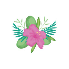 hibiscus flower and green leaves, detailed style