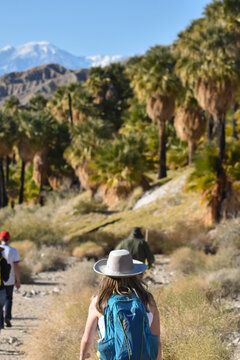 Palm Springs Hiking 