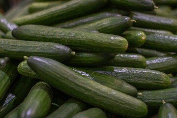 Green cucumbers.Background on the theme of vegetables and healthy food.