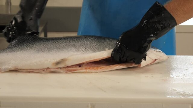 Cleaning salmon fish in an industrial restaurant kitchen