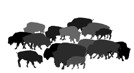 Drove of Bison vector illustration isolated on white background. Herd of Buffalo, symbol of America. Strong animal, Indian culture. Bison family shadow.