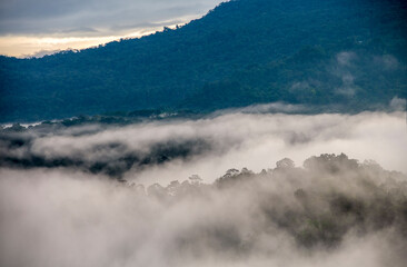Fog on mountain top in Borneo, Sarawak, Malaysia - 365031221