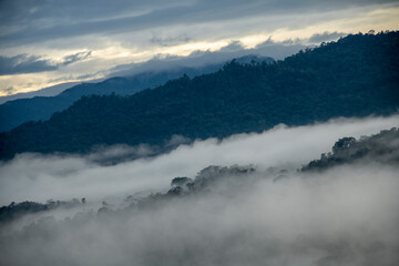 Fog on mountain top in Borneo, Sarawak, Malaysia - 365031297