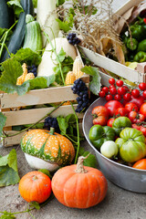 fresh vegetables in wooden boxes, homegrown food, agriculture