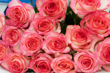 Bouquet of fresh flowers from pink-white roses