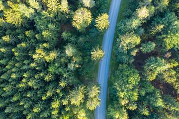 Aerial view of German Forest and Road / Highway