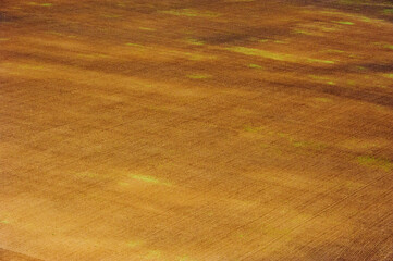 Fields and meadows. Aerial view. Landscape.