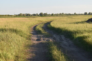 path in the field