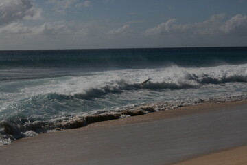 Surfers in Hawaii landscape 2009