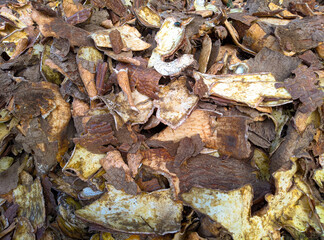 some dried cassava peels