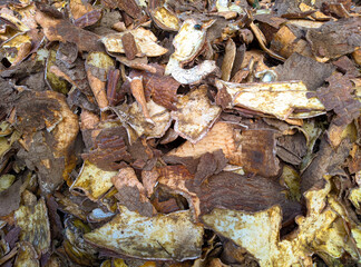 some dried cassava peels