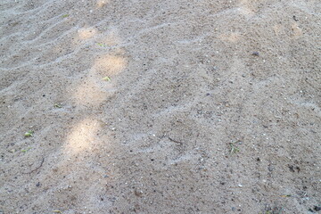 Mud, dried puddles on a sandy road