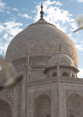Fototapeta na wymiar taj mahal tomb with flying pigeons blurred