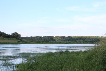 River landscape on a summer day in the village