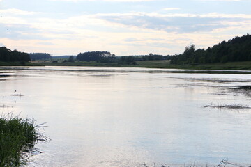 River landscape on a summer day in the village