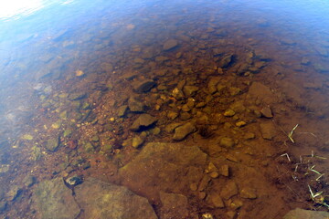 Fototapeta na wymiar stone bottom in summer on the river