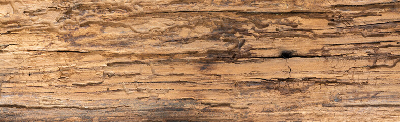 old wood texture