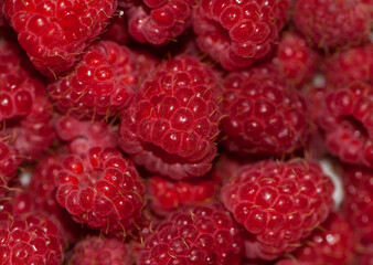 
background with berries of big red raspberries