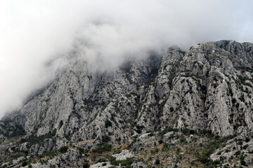 mountain in the fog
