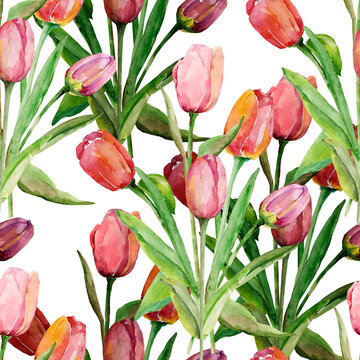 Bouquet of tulips. Seamless pattern. Image on a white and colored background.