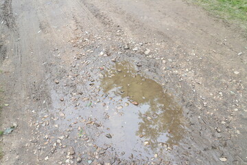 puddles after rain on a summer day in the village