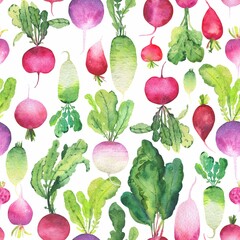 Watercolor seamless pattern with radish and turnip on white background. 
Colorfull bright summer seamless background for textile, wallpapers, print and banners. 