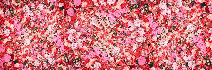 Fototapeten Bunch of rose flowers. Widescreen banner for site. © primipil