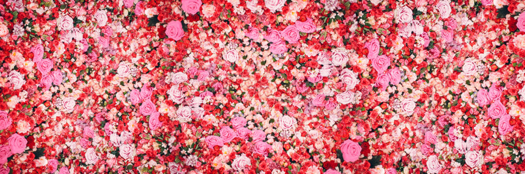 Bunch of rose flowers. Widescreen banner for site.