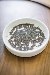 Germinating Garden Seeds